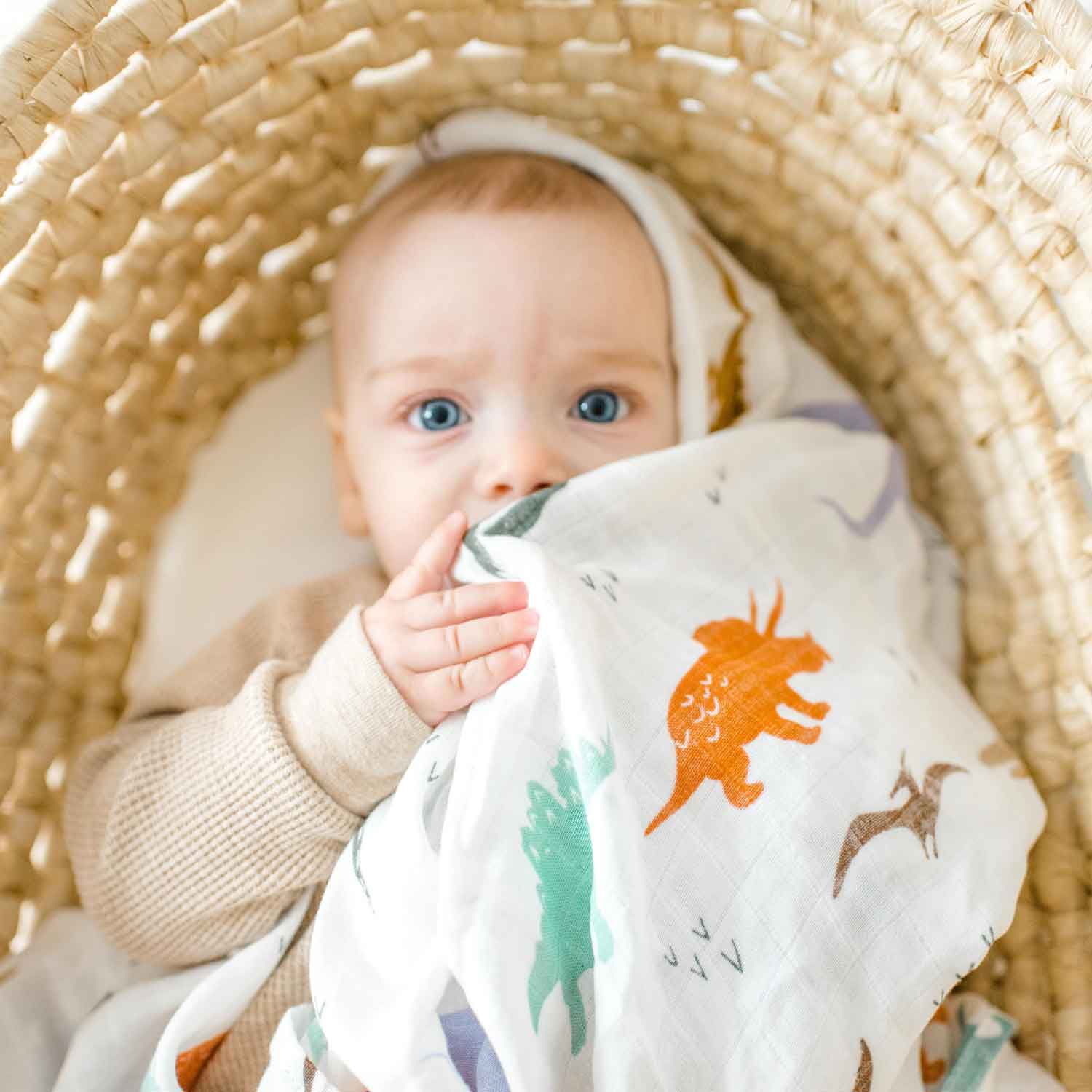 Bamboo Muslin Swaddle - Dinosaur