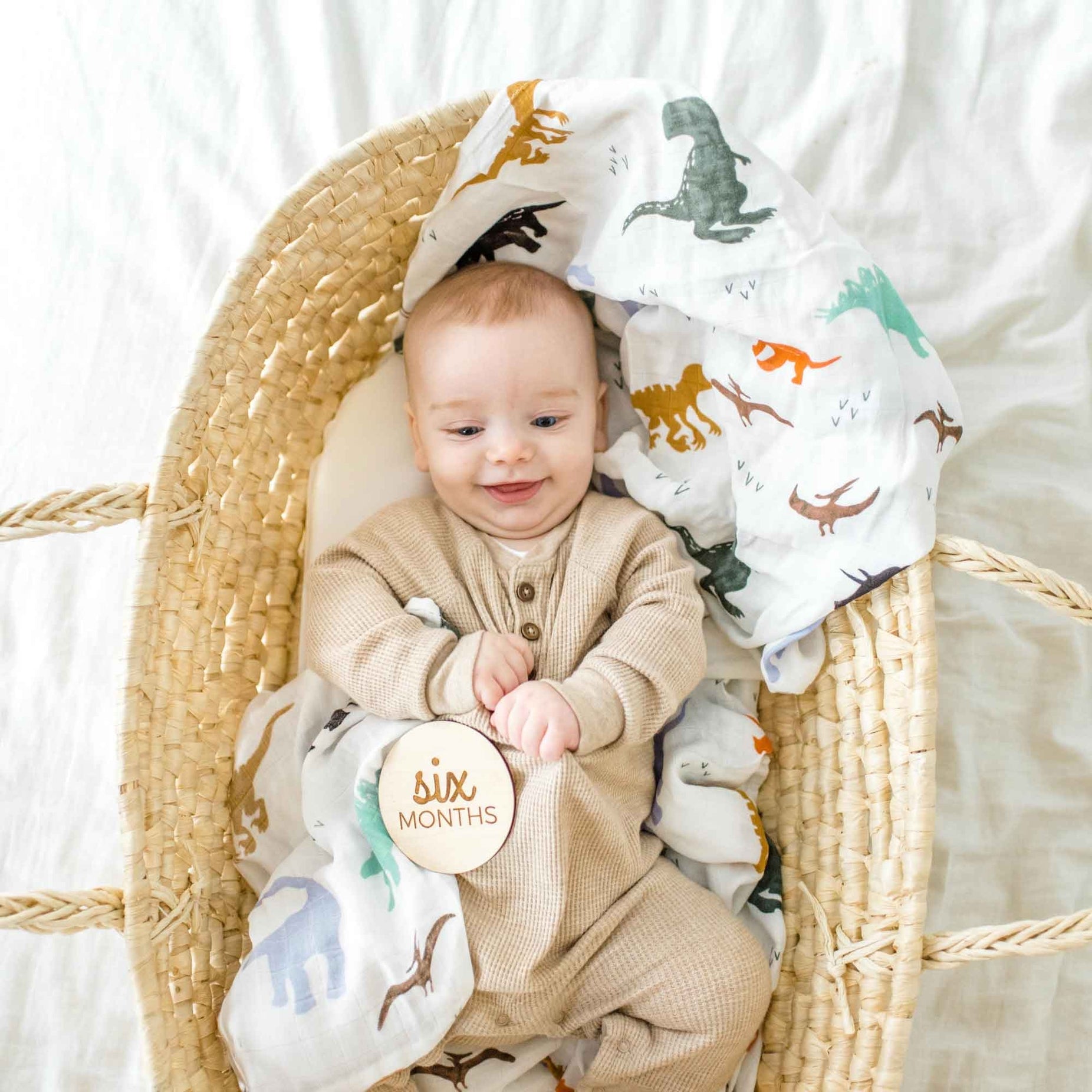 Bamboo Muslin Swaddle - Dinosaur
